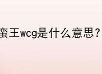 蛮王wcg是什么意思?