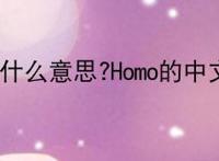 Homo是什么意思?Homo的中文意思