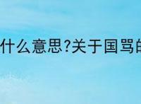 国骂是什么意思?关于国骂的介绍
