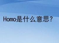 Homo是什么意思?