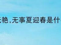 有事钟无艳,无事夏迎春是什么意思?