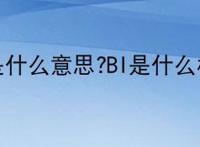 BI是什么意思?BI是什么梗？