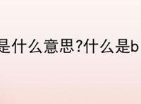 bi是什么意思?什么是bi?