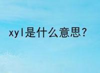 xyl是什么意思?