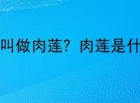 什么叫做肉莲？肉莲是什么？