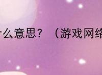 33333什么意思？（游戏网络用语）