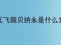 博辛瓦飞踹贝纳永是什么意思?