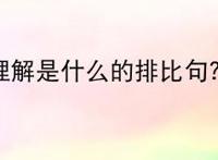 理解是什么的排比句？