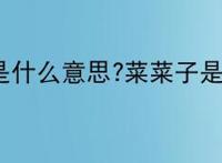 菜菜子是什么意思?菜菜子是什么梗