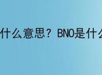 BNO是什么意思？BNO是什么梗？