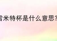 雷米特杯是什么意思?