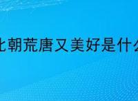 魏晋南北朝荒唐又美好是什么意思?