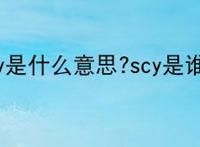 scy是什么意思?scy是谁？