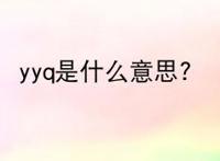 yyq是什么意思?