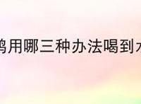 乌鸦用哪三种办法喝到水？