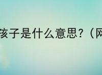 我怀了你的孩子是什么意思?（网络流行词）