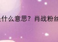 xfx是什么意思? 肖战粉丝xfx