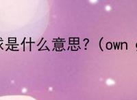 乌龙球是什么意思?（own goal）