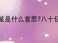 八十亿疯狗出笼是什么意思?八十亿疯狗出笼是什么梗