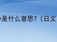 の是什么意思?（日文）