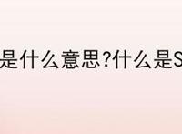 SP是什么意思?什么是SP