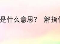 卍解是什么意思?卍解指什么