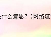 白完是什么意思?（网络流行词）