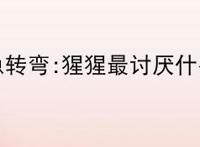 脑筋急转弯:猩猩最讨厌什么线？