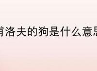 巴甫洛夫的狗是什么意思?