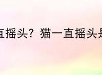 猫为什么一直摇头？猫一直摇头是什么意思？