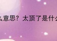 真顶什么意思？太顶了是什么意思？