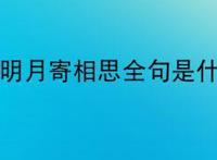 一轮明月寄相思全句是什么？