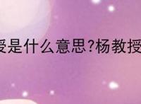 杨教授是什么意思?杨教授是谁