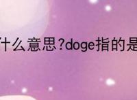 doge是什么意思?doge指的是什么？