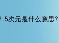 2.5次元是什么意思?