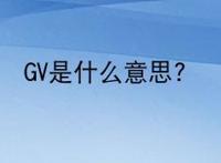 GV是什么意思?