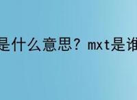 mxt是什么意思? mxt是谁?
