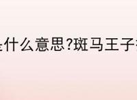 斑马王子是什么意思?斑马王子指的是谁？