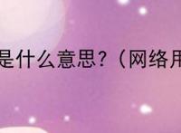 深柜是什么意思?（网络用语）