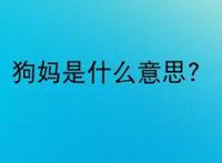 狗妈是什么意思?