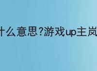 岚少是什么意思?游戏up主岚少是谁