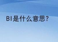 BI是什么意思?