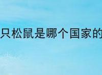 三只松鼠是哪个国家的？