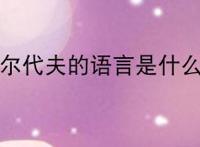 马尔代夫的语言是什么？