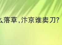 梁山泊什么落草,汴京谁卖刀?（水浒传）