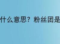 粉丝团是什么意思? 粉丝团是干嘛的？