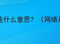 废青是什么意思？（网络用语）