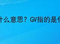 GV是什么意思? GV指的是什么？