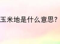 玉米地是什么意思?