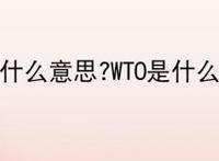 WTO是什么意思?WTO是什么组织